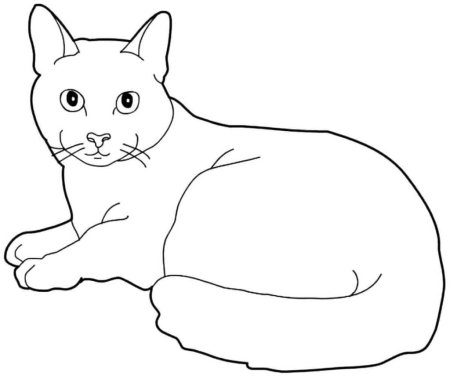 Кошка лежит раскраска