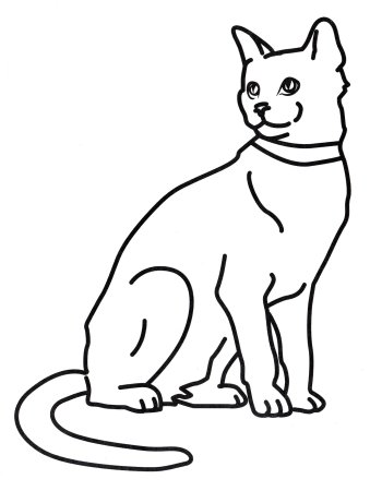 Раскраска кошка настоящая