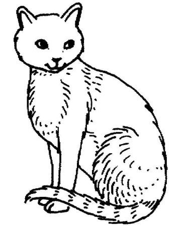 Раскраски домашние кошки