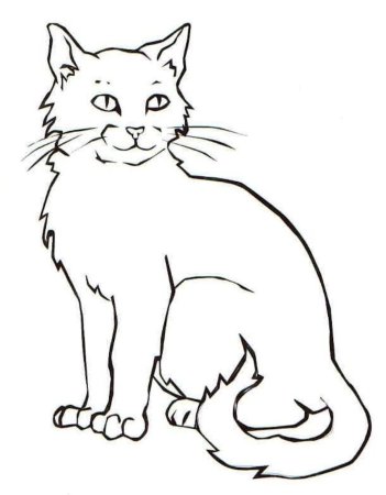 Раскраска кот