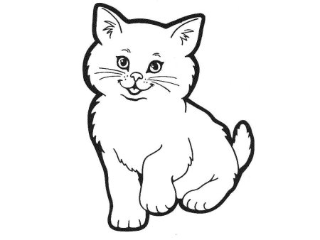 Раскраска кот
