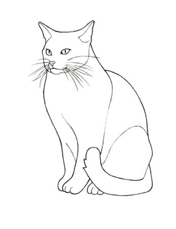 Нарисовать сидящего кота