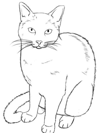 Кот карандашом для детей