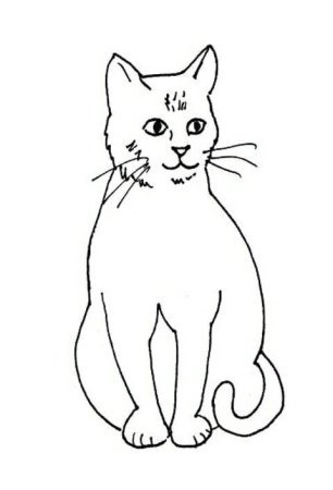 Кот контур