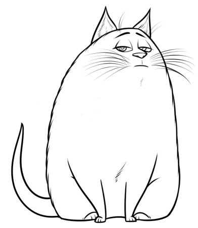 Кошка Хлоя