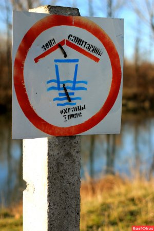 Водоохранная зона рисунки детей