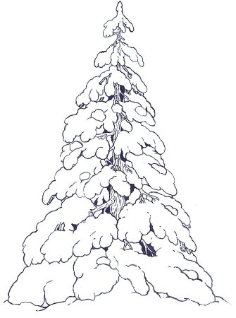 Деревья в снегу раскраска