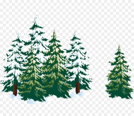 Лес на прозрачном фоне