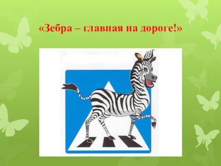 Светофор и Зебра