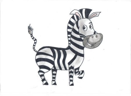 Зебра пешеходный переход