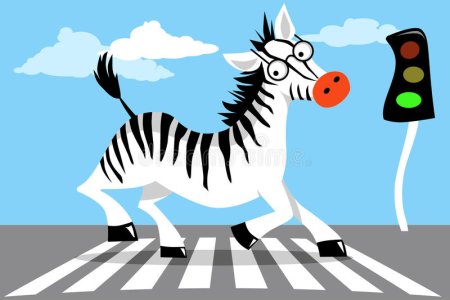 Зебра ПДД