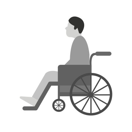 Инвалид иконка