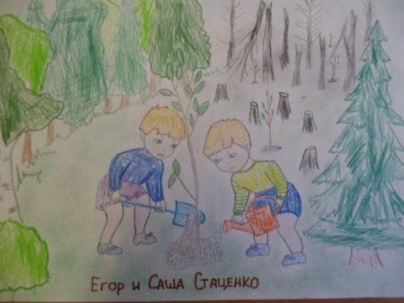 Сажаем деревья рисунок детский