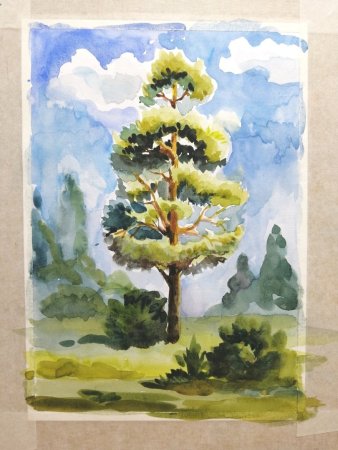 Рисование сосна для дошкольников