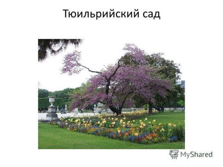 Тюильрийский сад Гартман