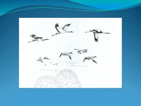 Ритм пятен летающие птицы