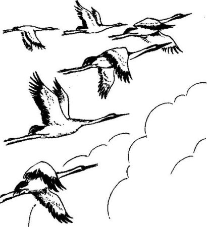 Улетающие птицы рисунок