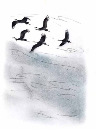 Улетают Журавли и. с. Соколов—Микитов иллюстрации