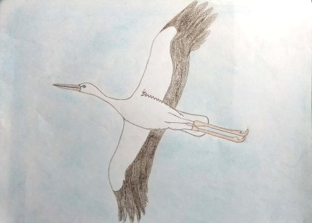 Журавли рисунок красками