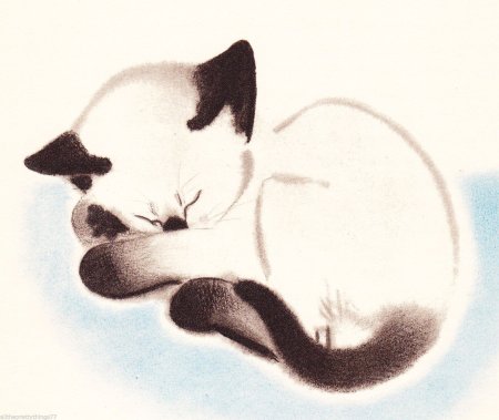 Сиамская кошка рисунок для срисовки