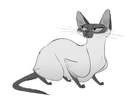 Сиамская кошка