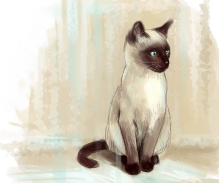 Сиамская кошка карандашом