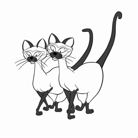 Коты Аристократы сиамские