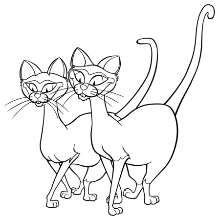 Сиамская кошка раскраска