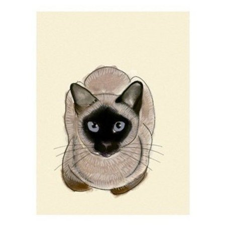 Сиамский кот эскиз