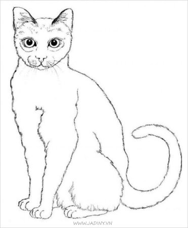 Кошки. Раскраска