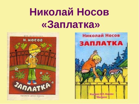 Рассказ н.Носова заплатка