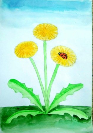 Рисование одуванчик старшая группа