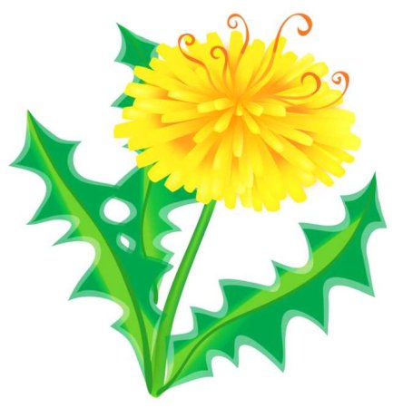 Одуванчик картинка для детей