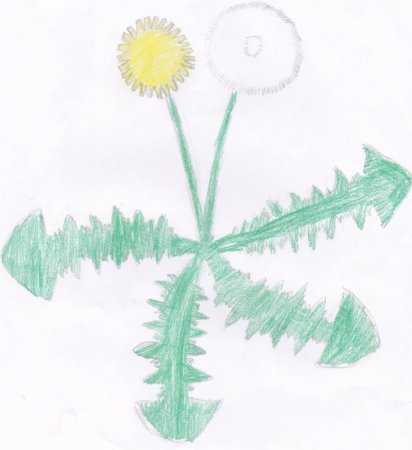 Рисование с детьми одуванчики