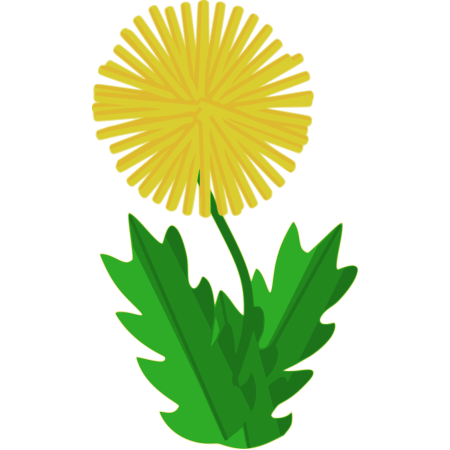 Одуванчик для детей