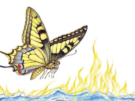 Бабочка Чуковский