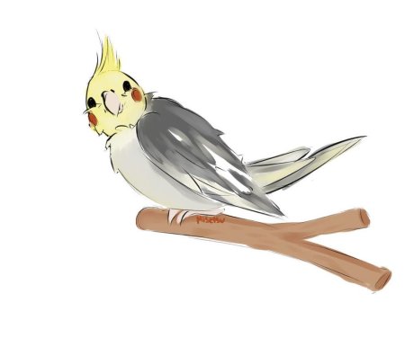 Корелла попугай мультяшный