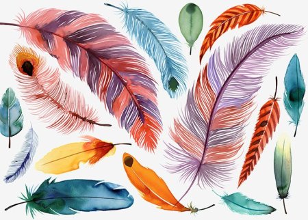 Птица с цветными перьями