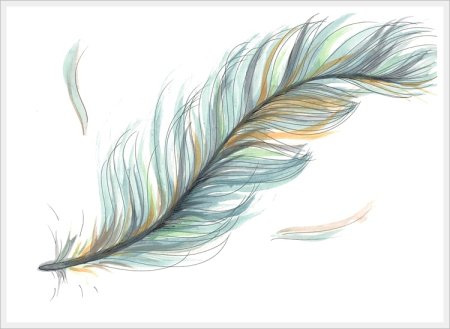 Перышко рисунок