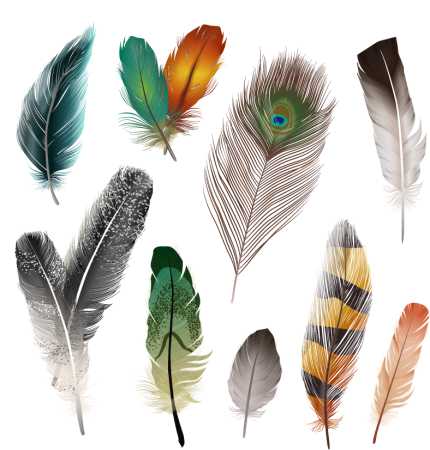 Птичье перо