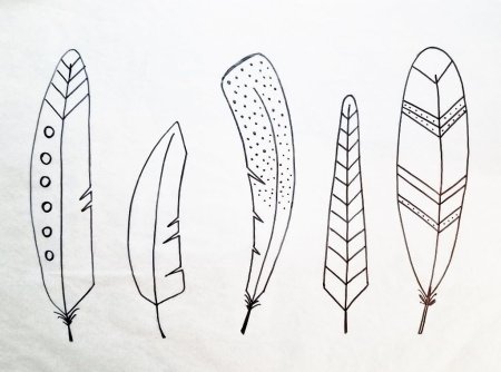 Перо птицы для рисования