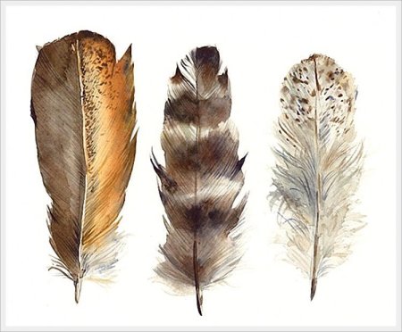 Акварельные перья