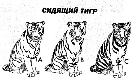 Рисунок сидящего тигра