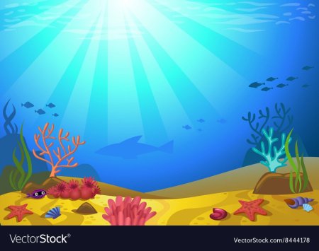 Морское дно фон для аппликации