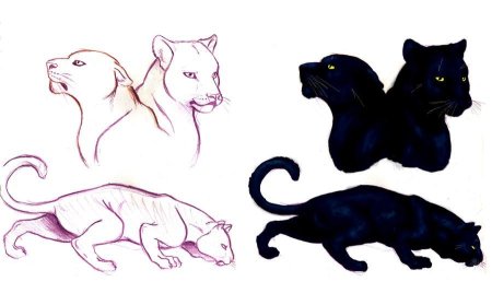 Пантера карандашом