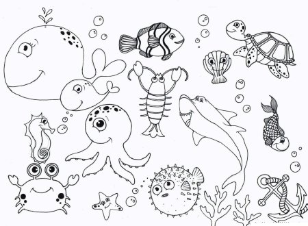 Морские животные картинки для детей