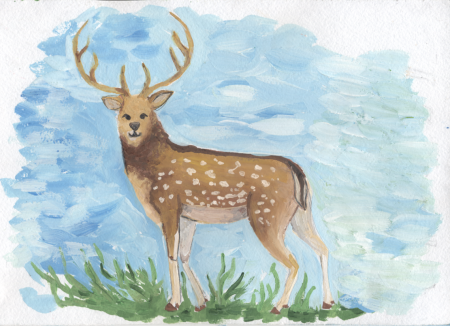 Пятнистый олень карандашом