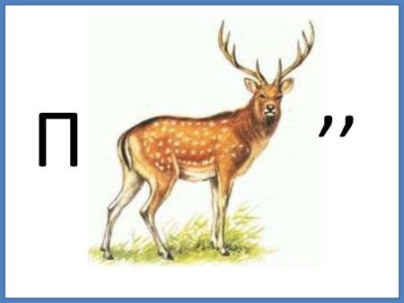 Пятнистый олень