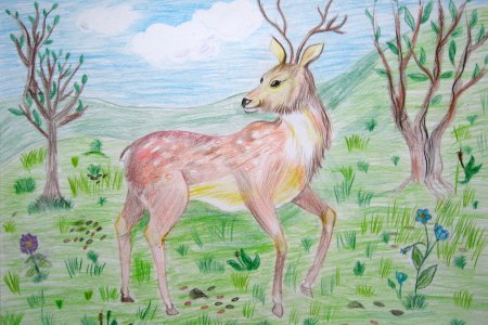 Олень раскраска для детей