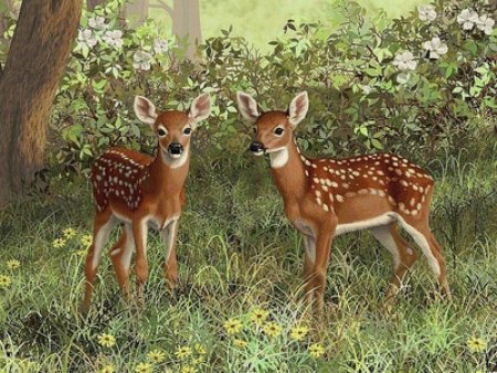 Олень рисунок